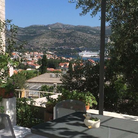 Apartman Vitis دوبروفينك المظهر الخارجي الصورة