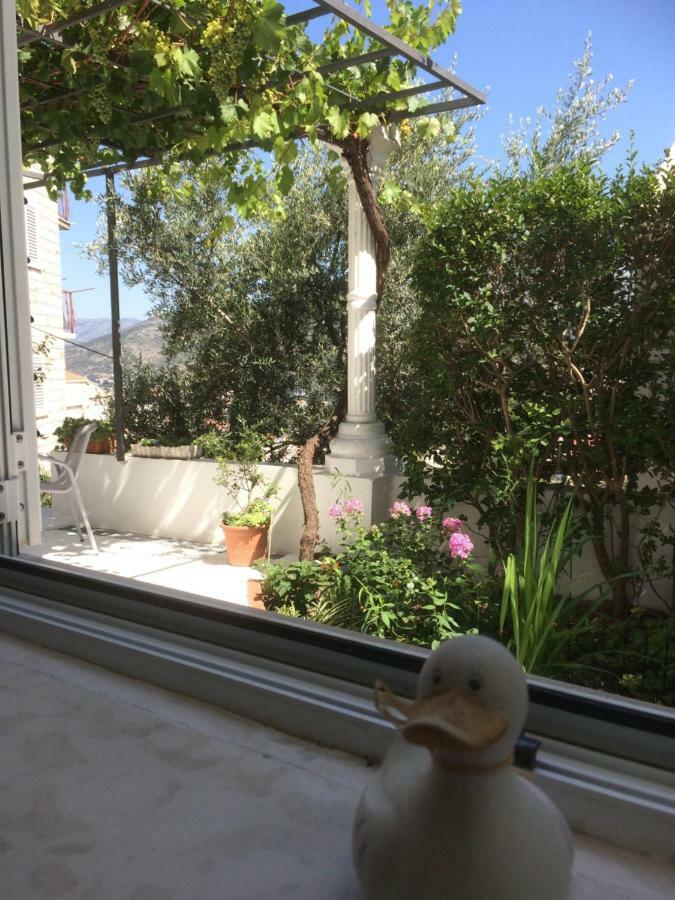 Apartman Vitis دوبروفينك المظهر الخارجي الصورة